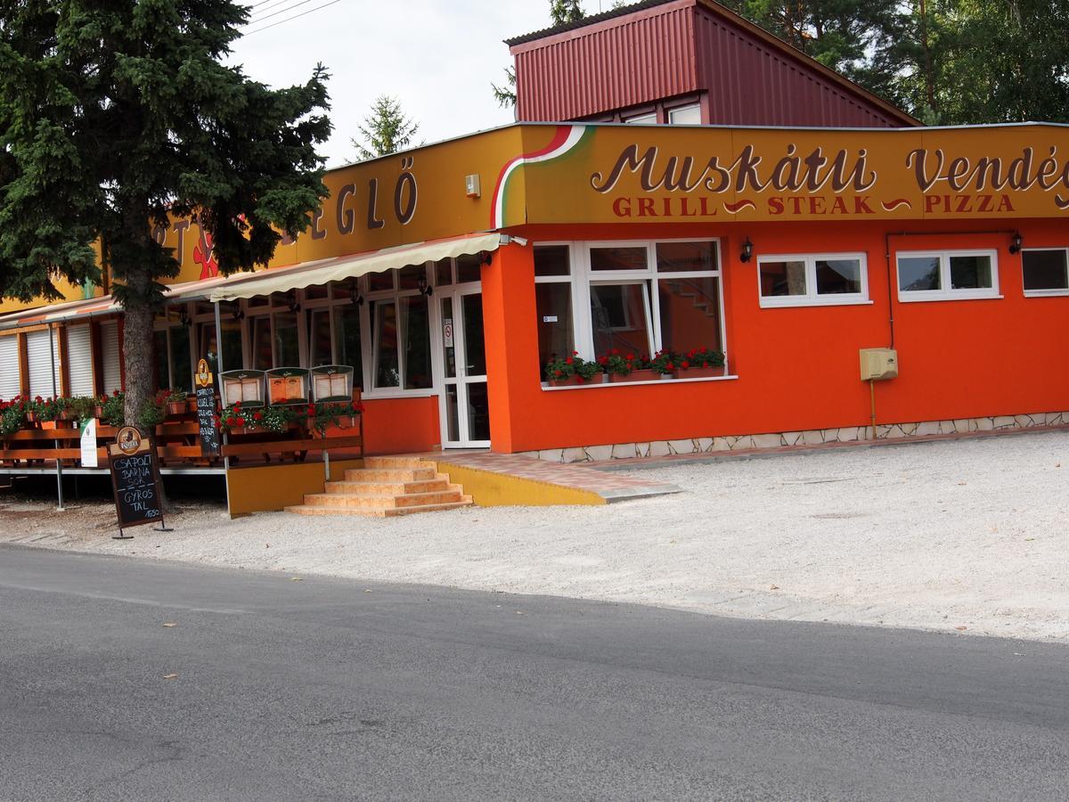 Laszlo Nyaralohaz Balatonfenyves Exteriér fotografie
